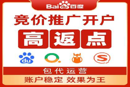 百度搜索优化：成功案例分析及策略解析